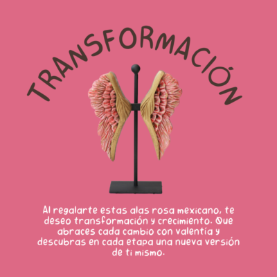 Alas Transformación - Image 2